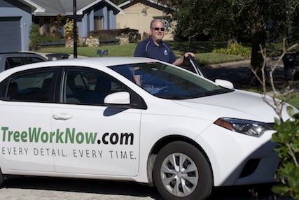 Orlando tree service and removal equipment used by us.