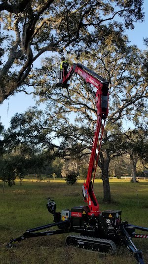 Our Tree Work Now team safely utilizing equipment for an Orlando tree trimming job.