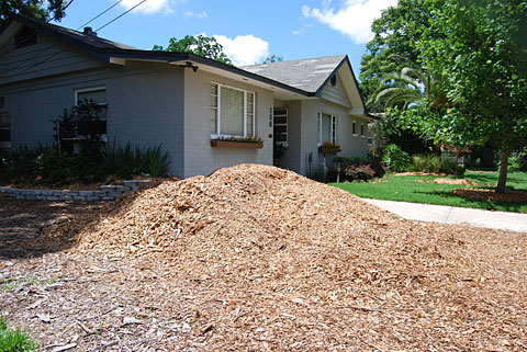 Free mulch chips