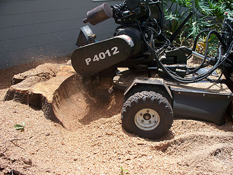 Grinder Working Closeup