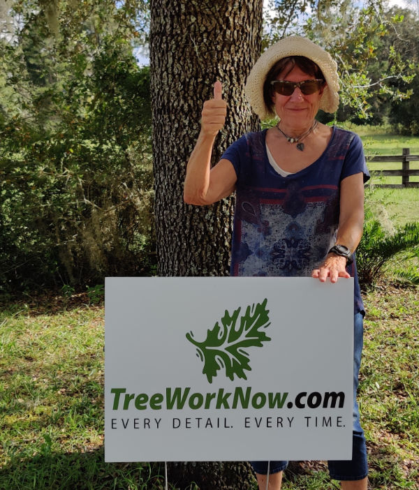 Orlando tree trimming