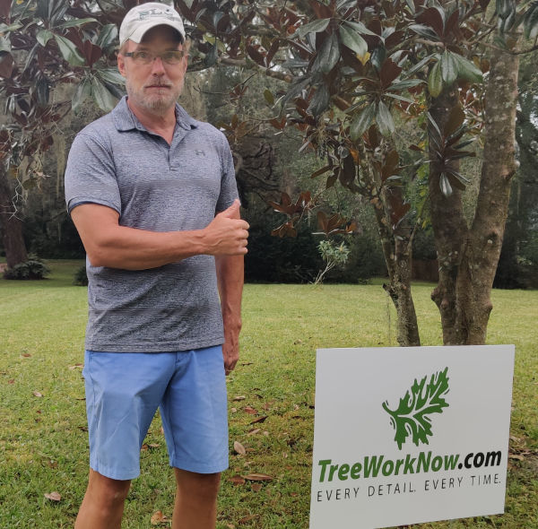 Orlando tree removal