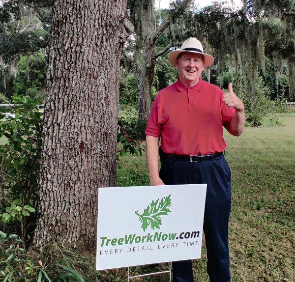 Orlando certified arborist
