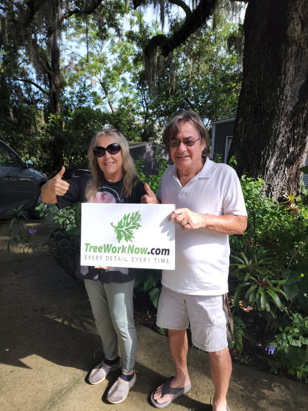 Orlando tree trimming