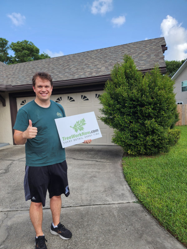 Orlando tree pruning
