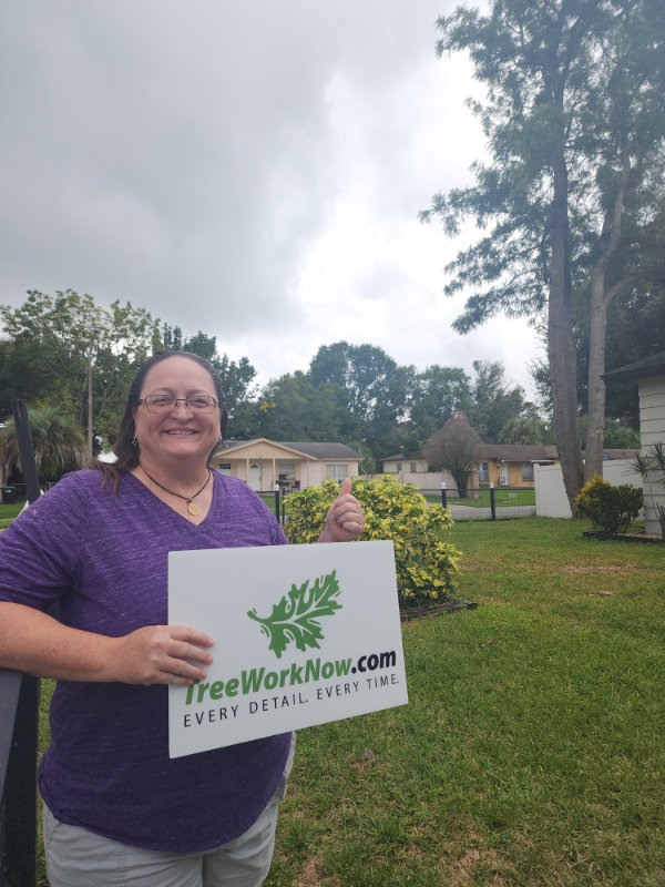Orlando tree cutting