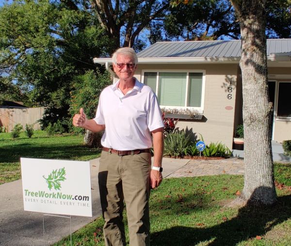 Orlando tree care