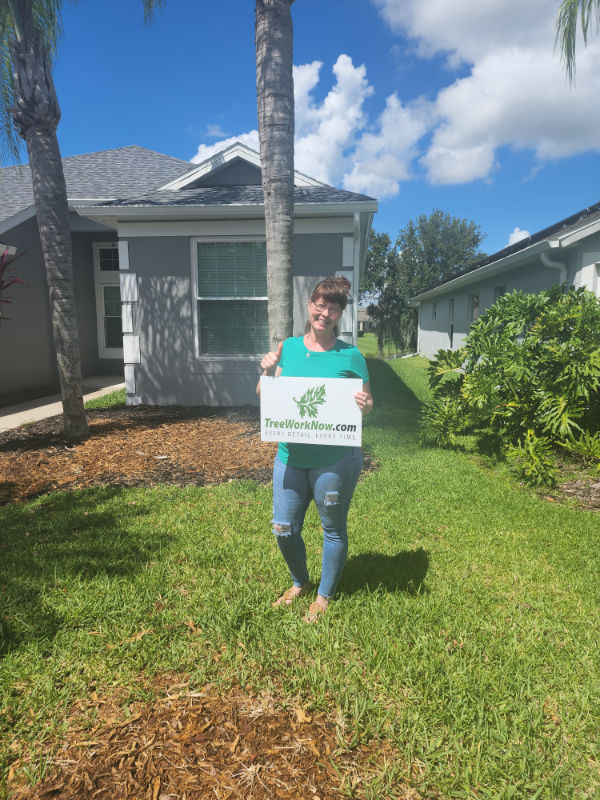 Orlando tree care