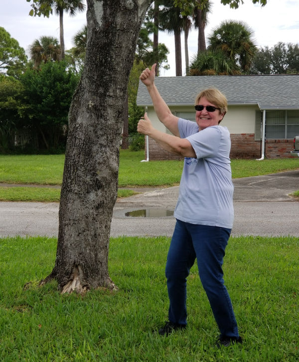 Orlando tree cutting