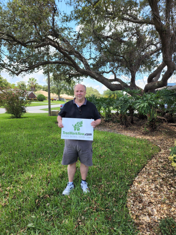 Orlando tree company