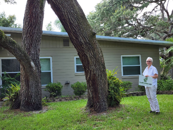 Orlando tree service
