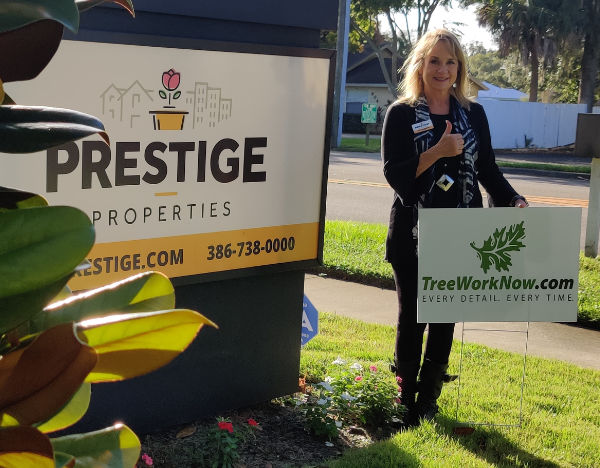 Orlando tree removal