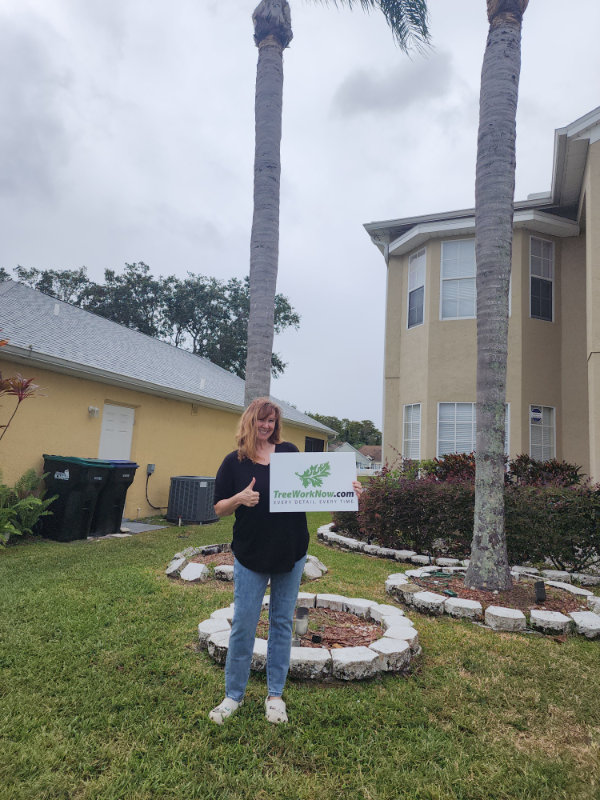 Orlando tree pruning