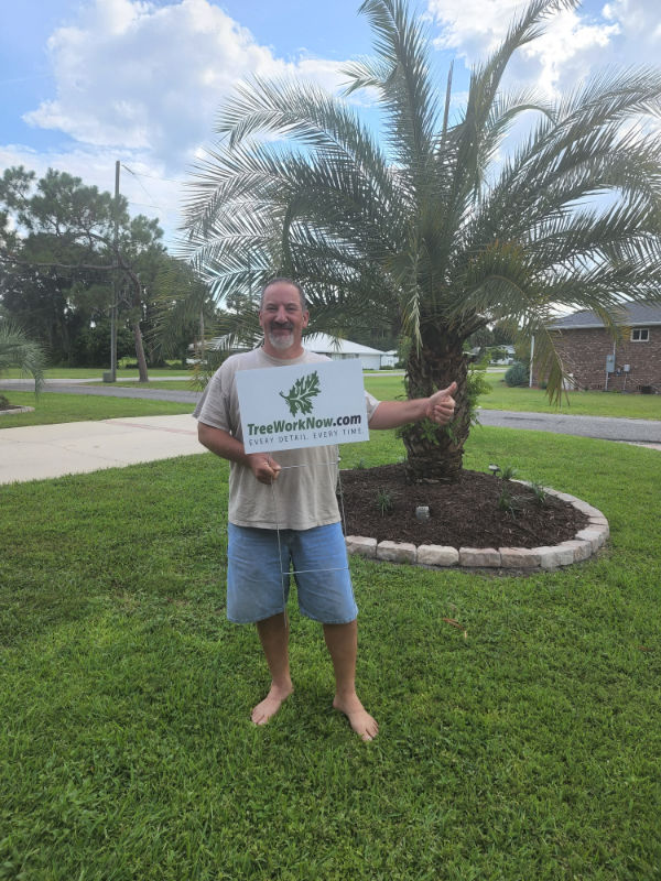 Orlando tree trimming