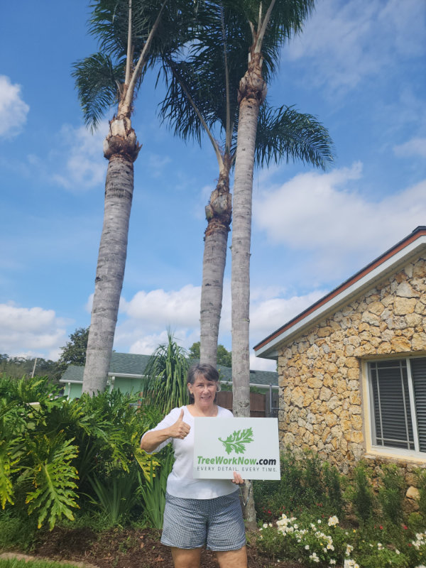 Orlando tree care