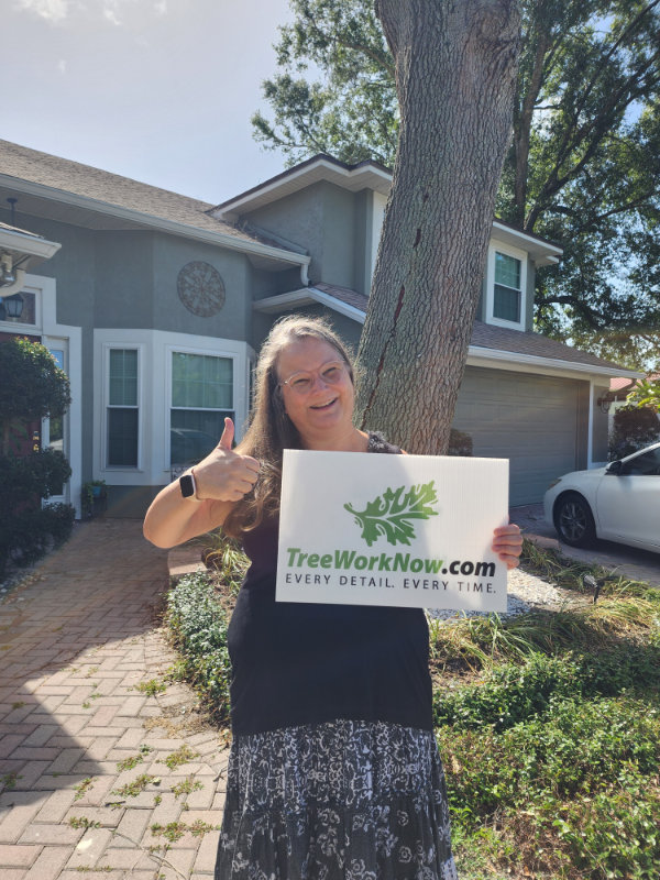 Orlando tree estimate