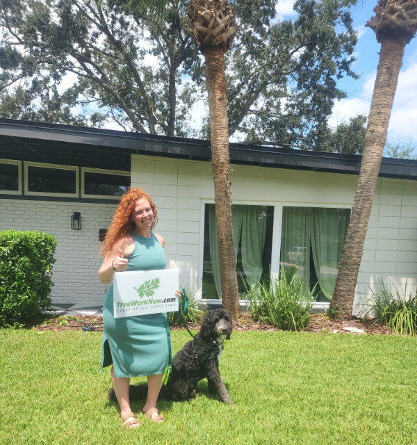Orlando certified arborist