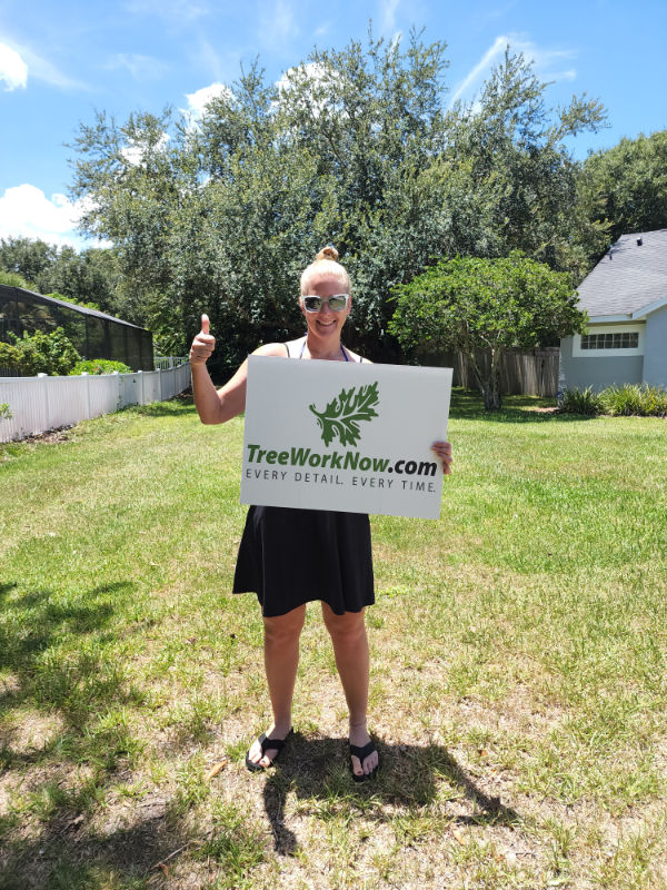 Orlando tree pruning