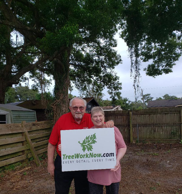 Orlando tree estimate