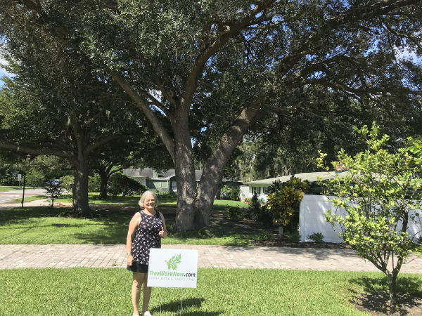 Orlando tree cutting