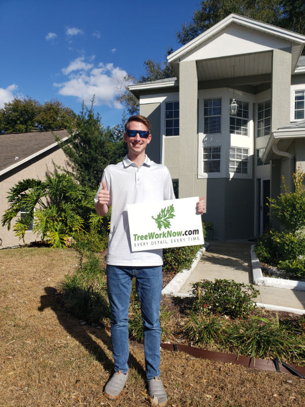 Orlando tree care