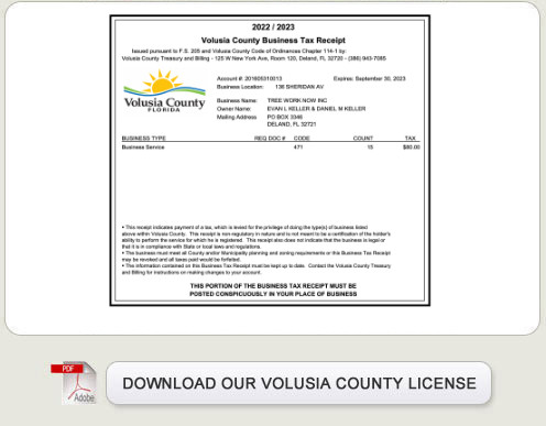 TreeWorkNow.com occupational license for tree Orlando tree trimming and services.