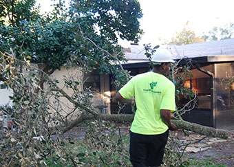 Protect your home from the aftermath of a storm with our Orlando FL tree service team.