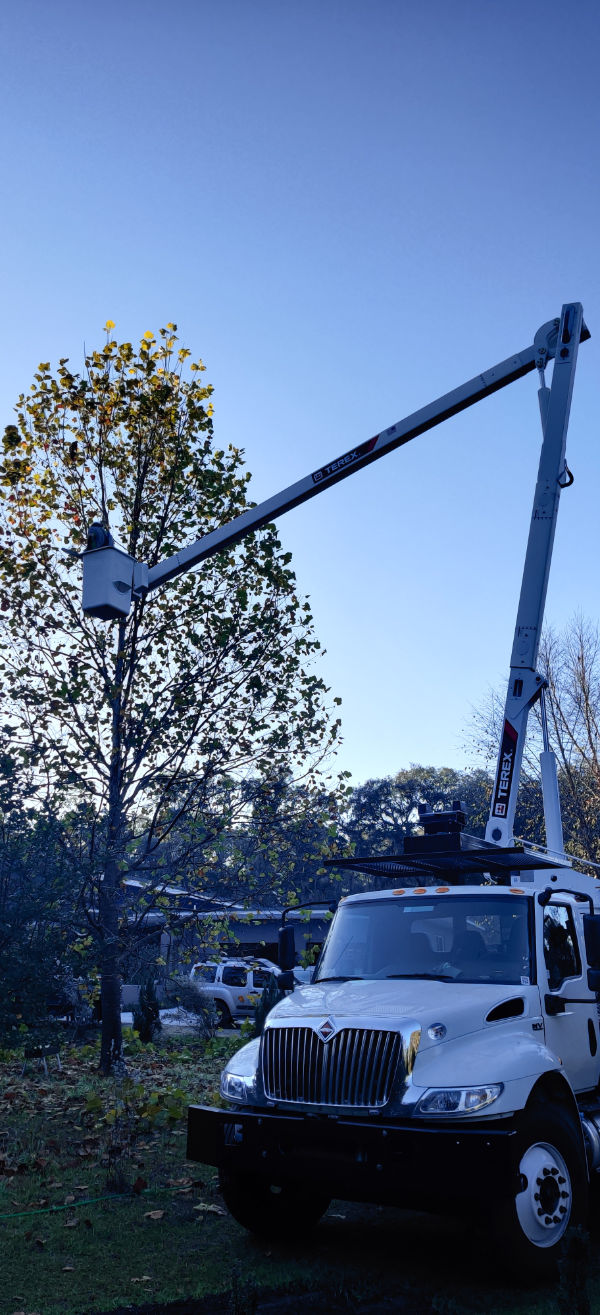 Our Orlando commercial tree service experts safely utilize lift equipment