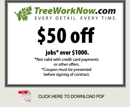 TreeWorkNow.com $50 off jobs over $1000. Not valid with credit card payments or other offers. Coupon must be presented before signing of contract.