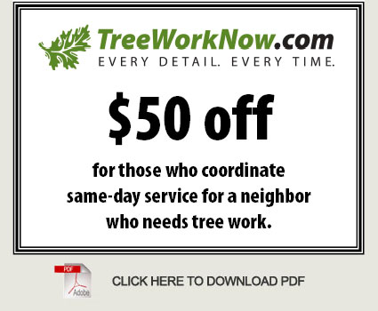 TreeWorkNow.com $50 off for those who coordinate same-day service for a neighbor who needs tree work.