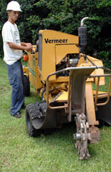 Tree removal equipment