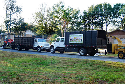Tree removal equipment used by us in Orlando